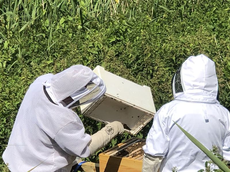 imkers op Fort Buitensluis
